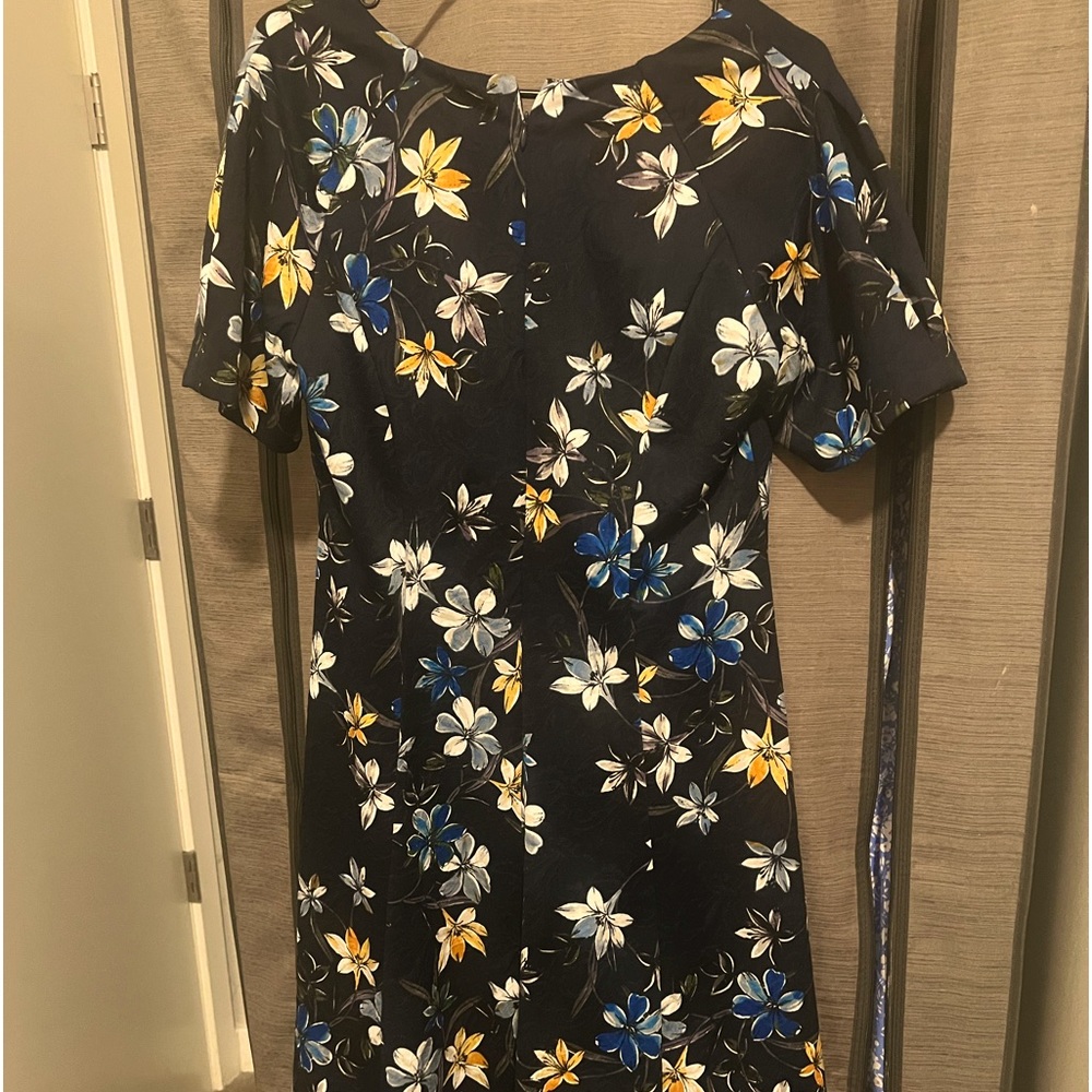 Beautiful dress rarely worn.